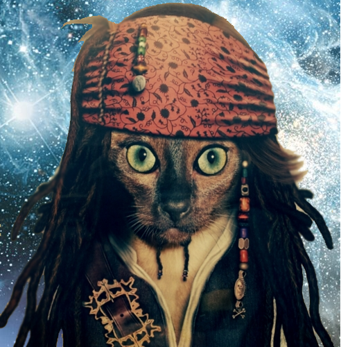 USAHashtags's tweet photo. Captain Cat Sparrow . http://t.co/h3cfW8Wj2s