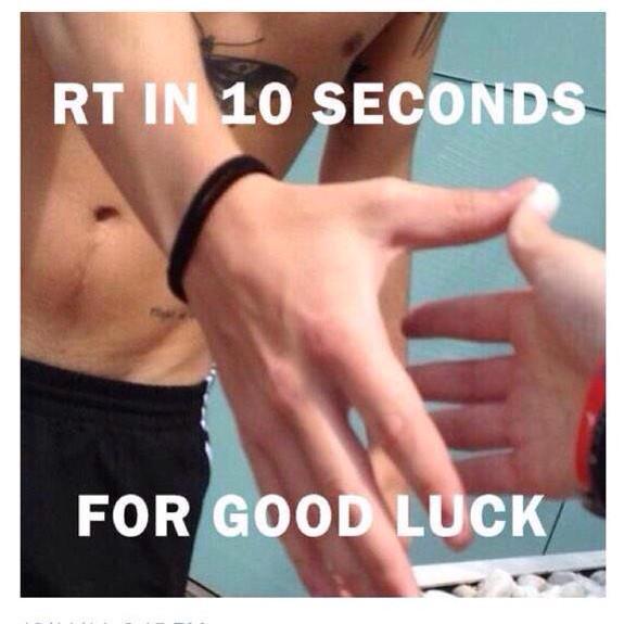 ilonahoran_'s tweet image. "Harry styles followed you"