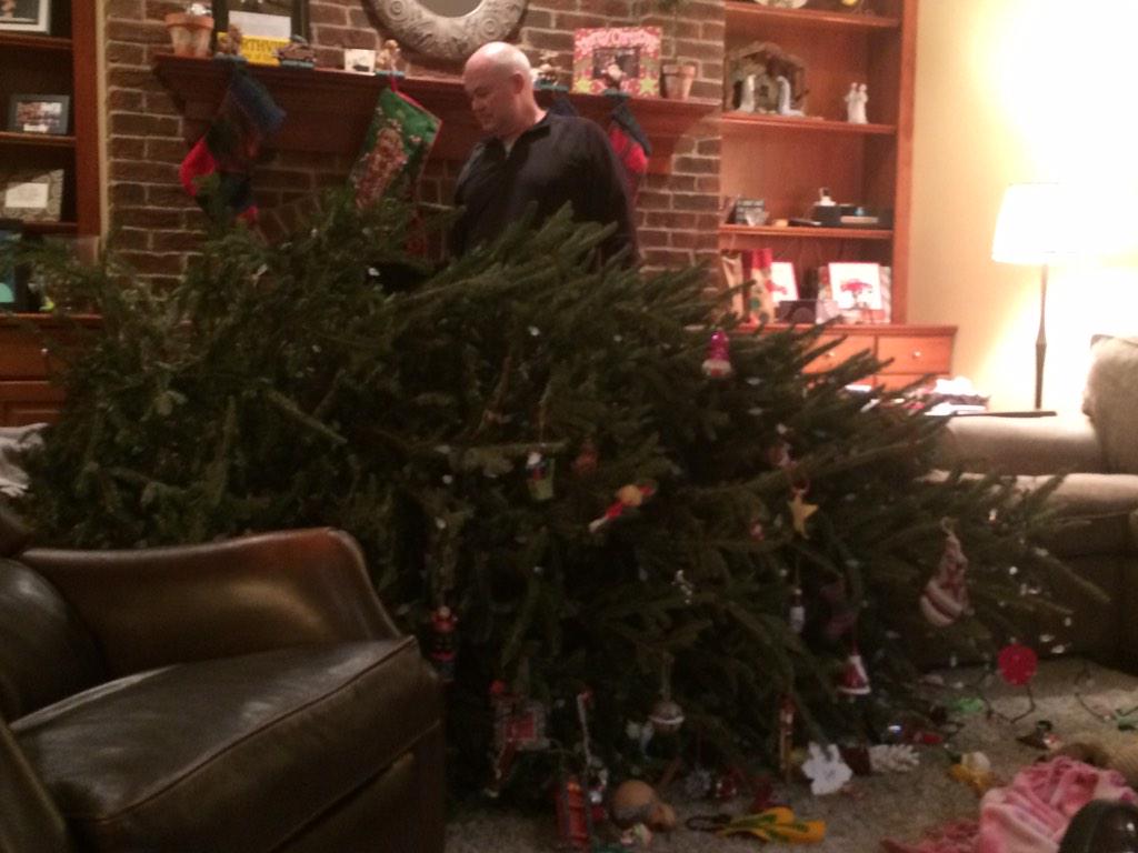 Aheadman77's tweet image. The Headman Christmas tree went down a little early this year #itfellover