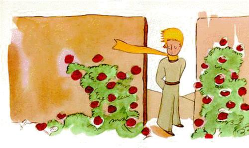 —Son bellas pero están vacías y nadie daría la vida por ustedes. Quien las vea creeria que mí rosa es igual a ustedes