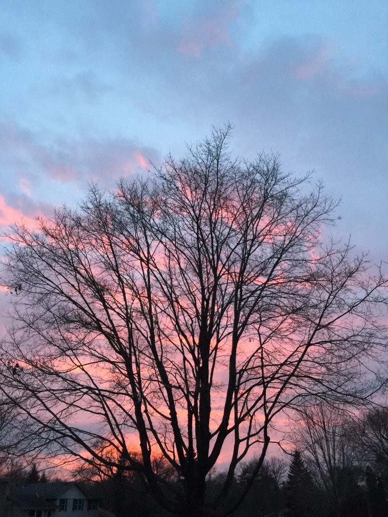 MODSUN's tweet photo. hey you look stunning. #LookUp http://t.co/j82wziHbYs