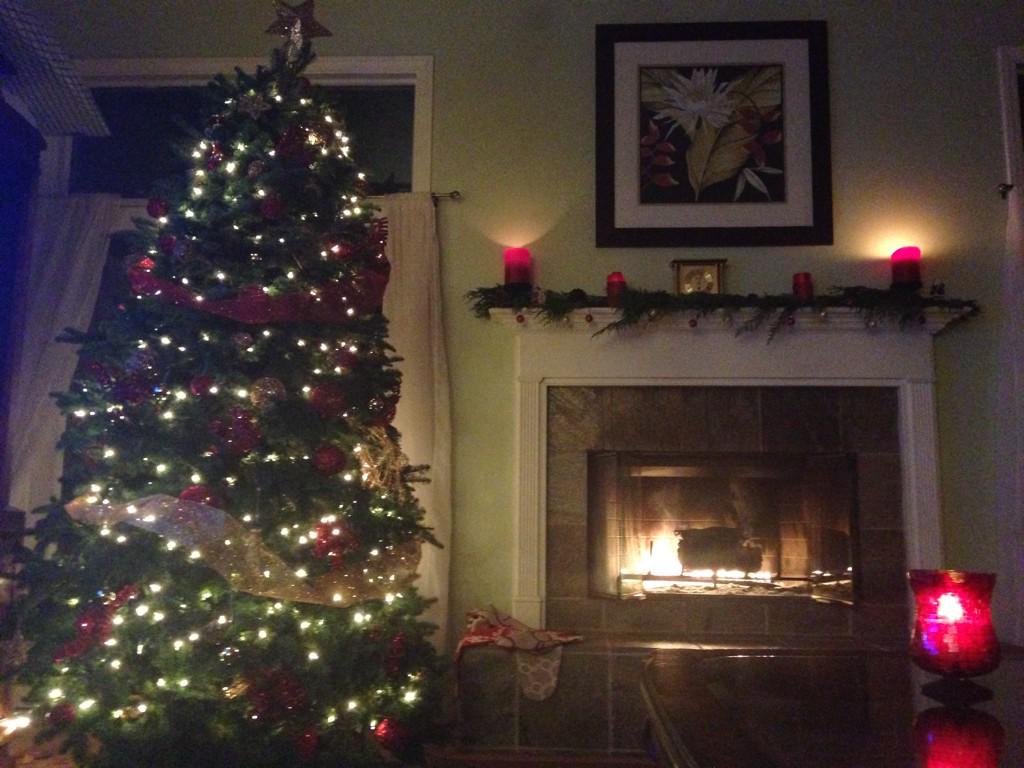 TheNormalBar's tweet image. Merry Christmas!! From our home to yours!