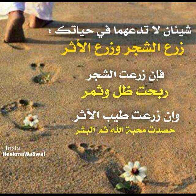 bbbb112270 tweet picture
