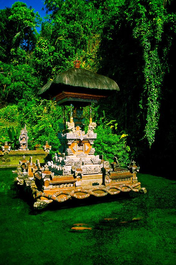 arsitekturco's tweet photo. Holy Spring ( and bathing pool ), Sebatu near Ubud, Bali http://t.co/tA5Ed2RT8Z