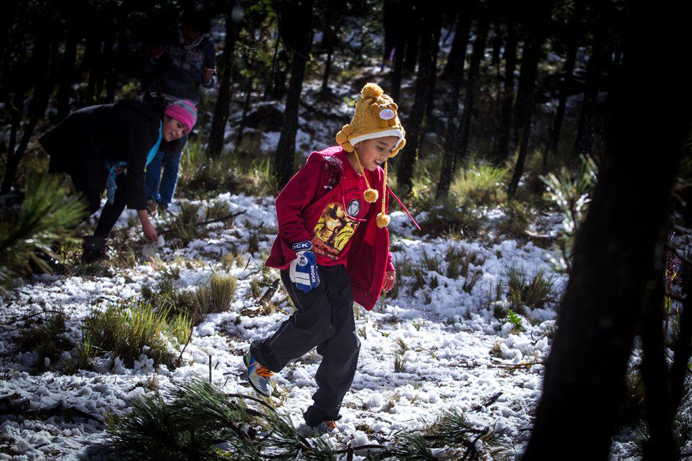 El Ajusco se pintó de blanco permitiendo a cientos de familias disfrutar de una Blanca Navidad bit.ly/1x6mAIJ