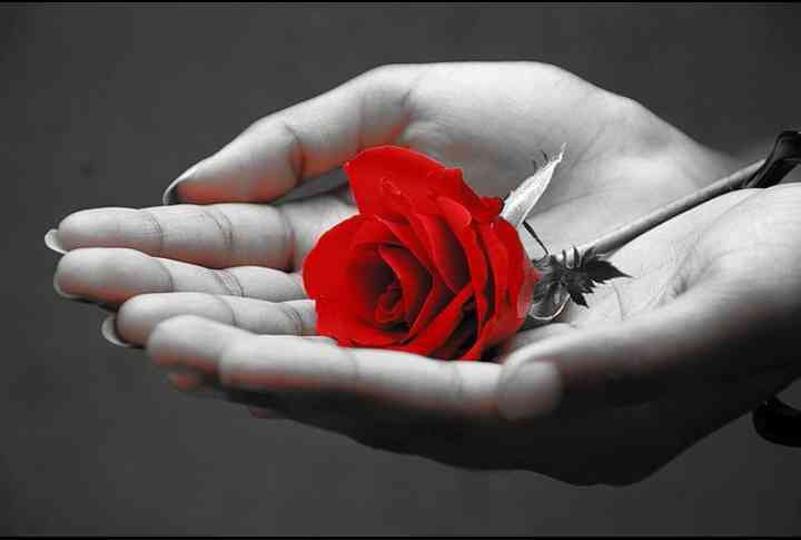 APookaed's tweet photo. @RupRerd http://t.co/ktqSArsdHO