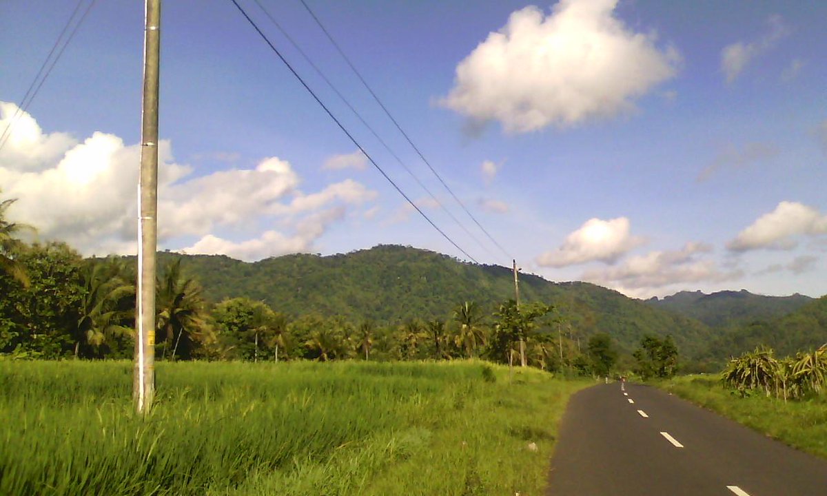 PELEMDUKUH_ tweet picture