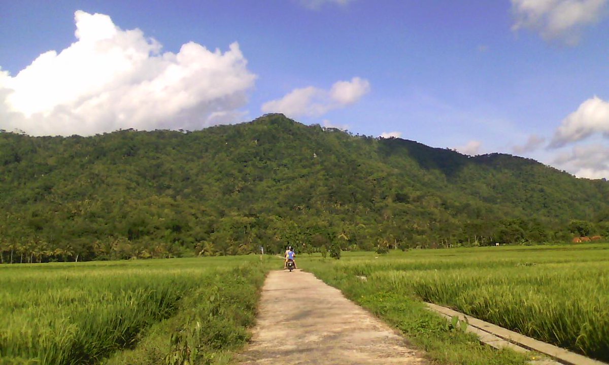 PELEMDUKUH_ tweet picture