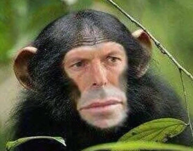 the_LoungeFly's tweet photo. #abbottwasdrunkwhen he went into politics as a UK citizen. #auspol http://t.co/zseKDmZ5wU