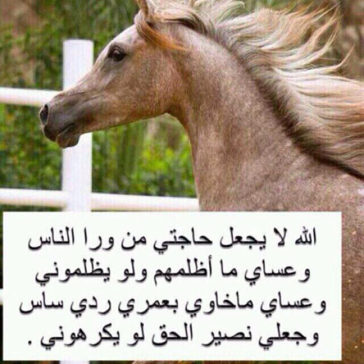 عطاالله ابوفيصل (@abofaisl123) on Twitter photo 