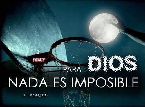 YConil tweet picture