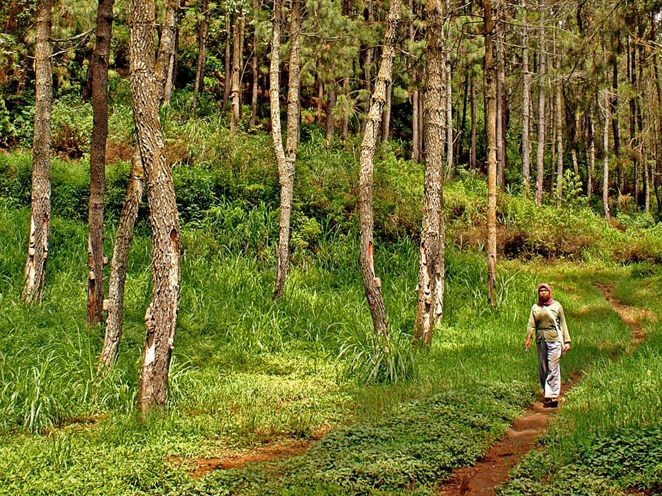 fotokitanet's tweet image. "Kuberjalan Sendiri" oleh Willy Aprillianto via
fotokita.net/foto/141862398…
#FotoKita