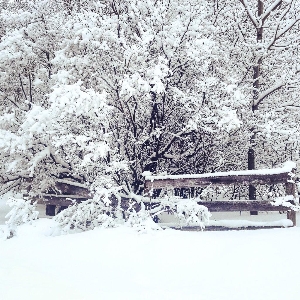 Inthewoods2014's tweet photo. I pass this old fence every day on my way to work. #rusticmorning http://t.co/6hrTlCbVIX
