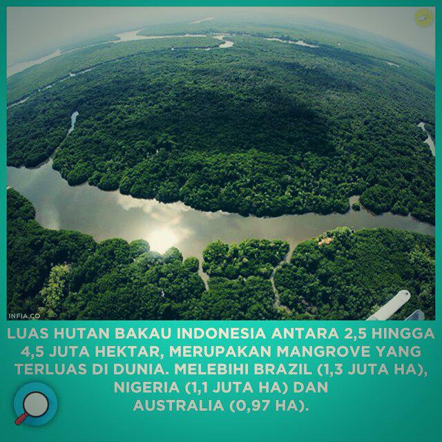 bubblebdg tweet picture