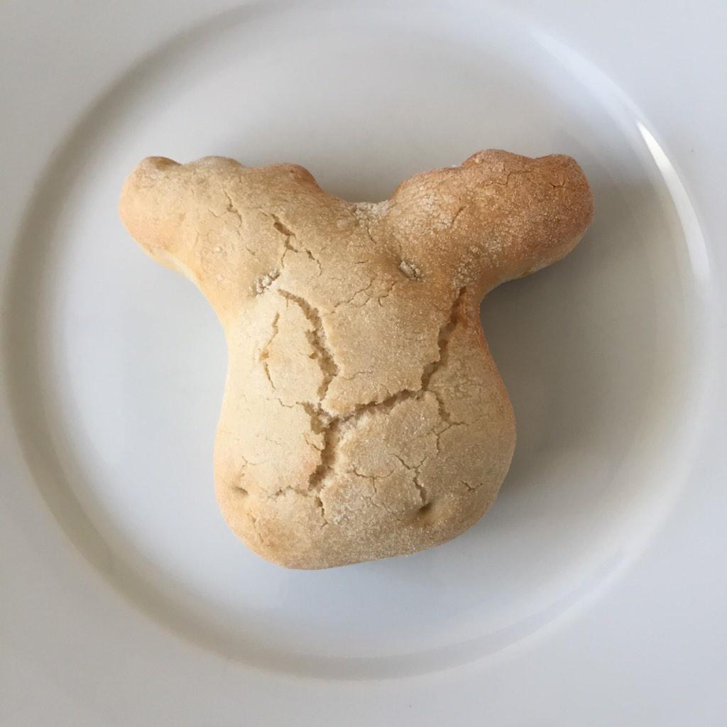 ScanCT Team Visma tweet media