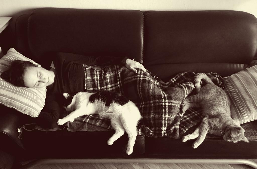 Kravljenje. I #nedanamse.