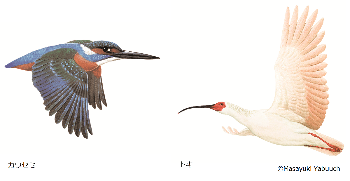 SUNTORY（サントリー） tweet media