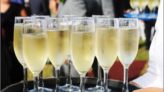 ¿Sabías? Afirman que el champán es bueno para la memoria tinyurl.com/k68hyjv