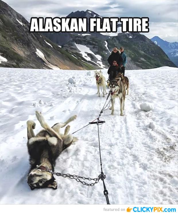 BlackDogDeli's tweet photo. Not always reliable transportation.. ;)
#BlackDogDeli http://t.co/kCtP3OhN2u