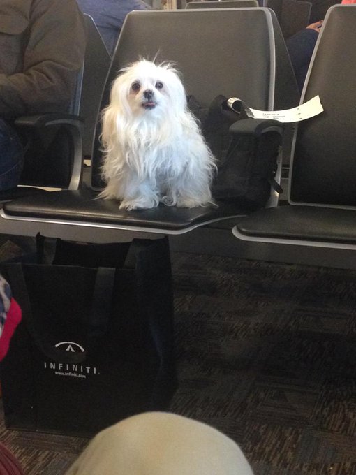 Watch SHORTY's leaked NSFW photo on TwXstars