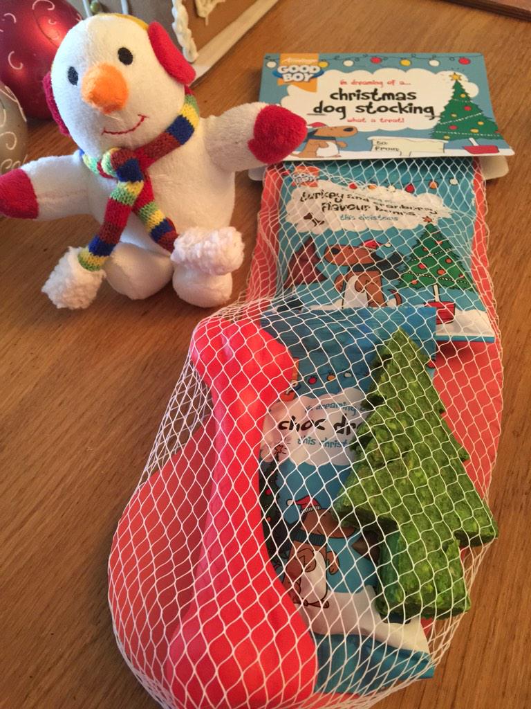 _CowardlyDog's tweet photo. Santa came! So excited I forgot to tweet yesterday! #xmas http://t.co/6KlzOt0EC8