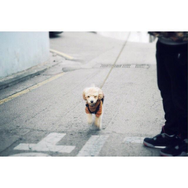 TiggerBANGTEEZY's tweet photo. 【IG】141225 #BangYongNam :#photography #nikon #morning #jongging #tigger 【CR:Tigger_TEEZY中文首站】 http://t.co/YrmCGWic2f