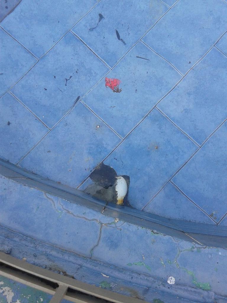 José Isabel Blandón tweet media