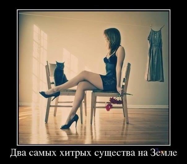 Евгений Пузаков (@e_puzakov) on Twitter photo 