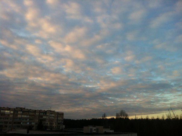 marcescentia tweet picture