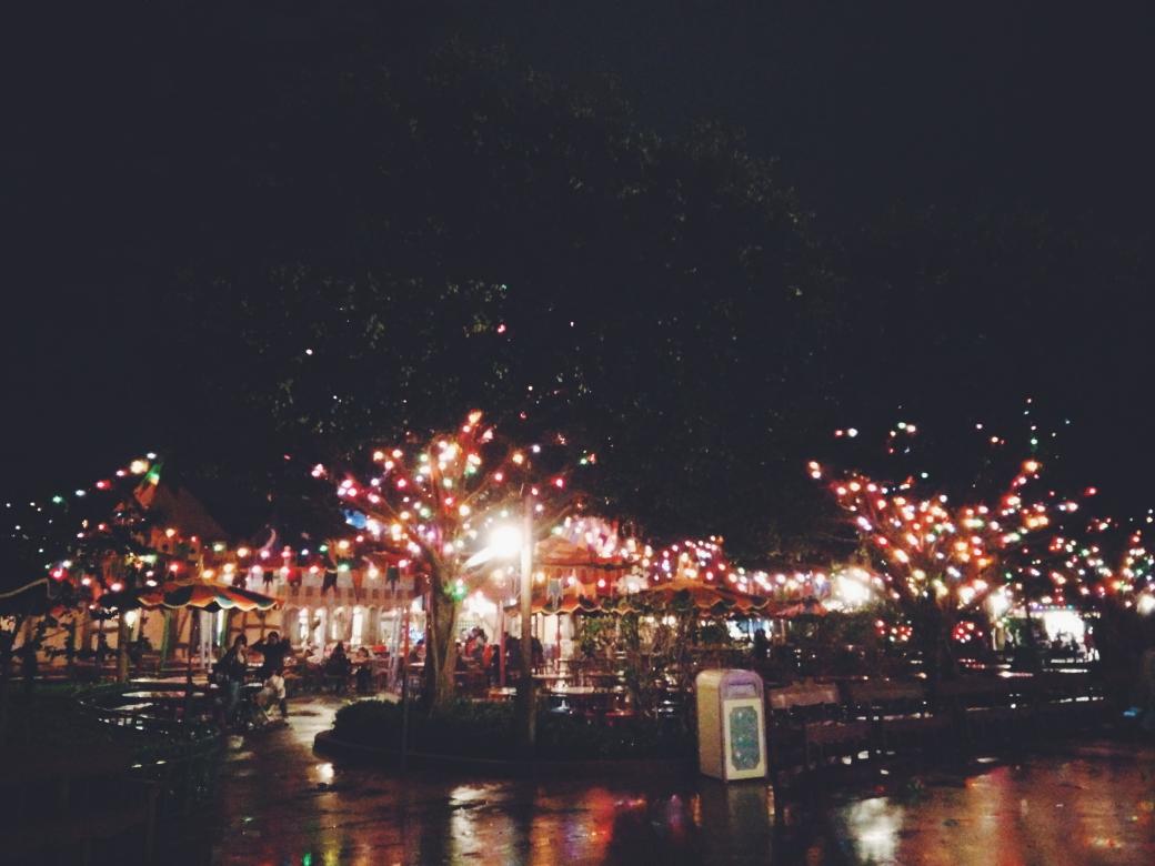 Sherreywalter's tweet image. Forever wishing I have a backyard like this! 😍  #ilovelights