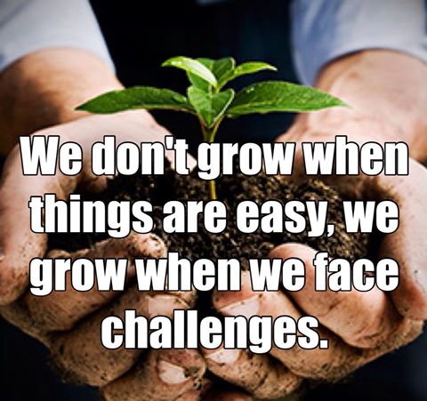 TheZigZiglar's tweet image. We don't grow when things are easy - we grow when we face challenges