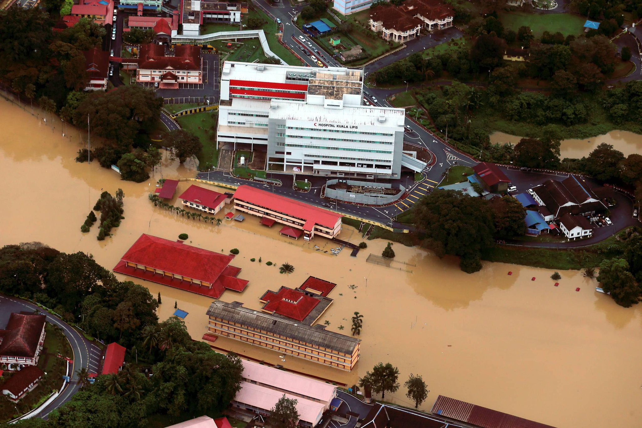 Embedded image permalink