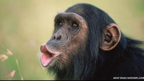 ro_armellones's tweet photo. Porque siempre poneis esta cara en las fotos ?? Esta muy vista ya... http://t.co/zrW5z5vupE