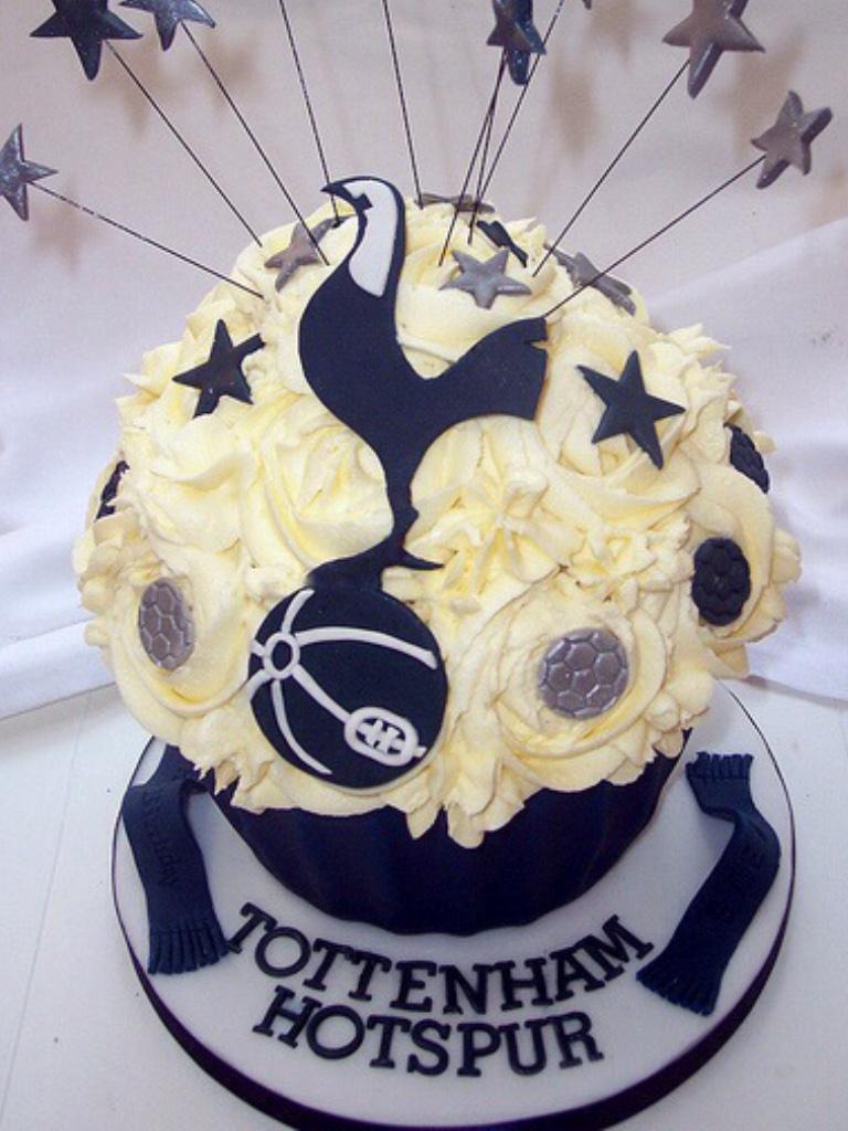  Happy Boxing Day SPURS FAMILY, hope you all had a super Christmas Day. Happy Birthday to our No1 Hugo Lloris    