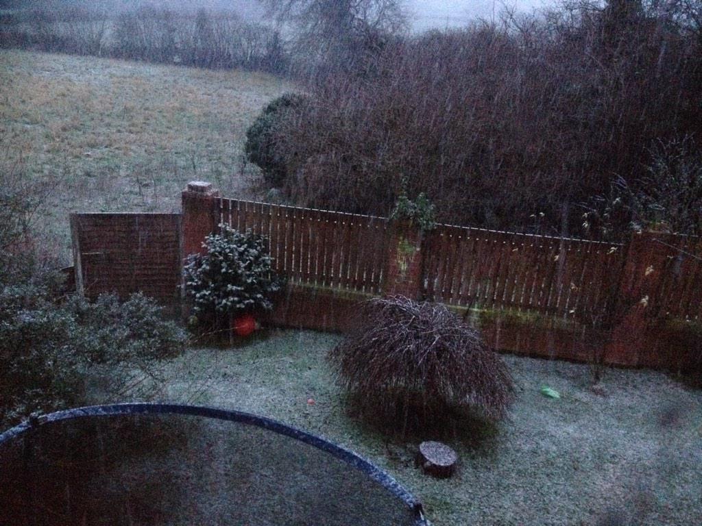 combatrats's tweet image. Snow.