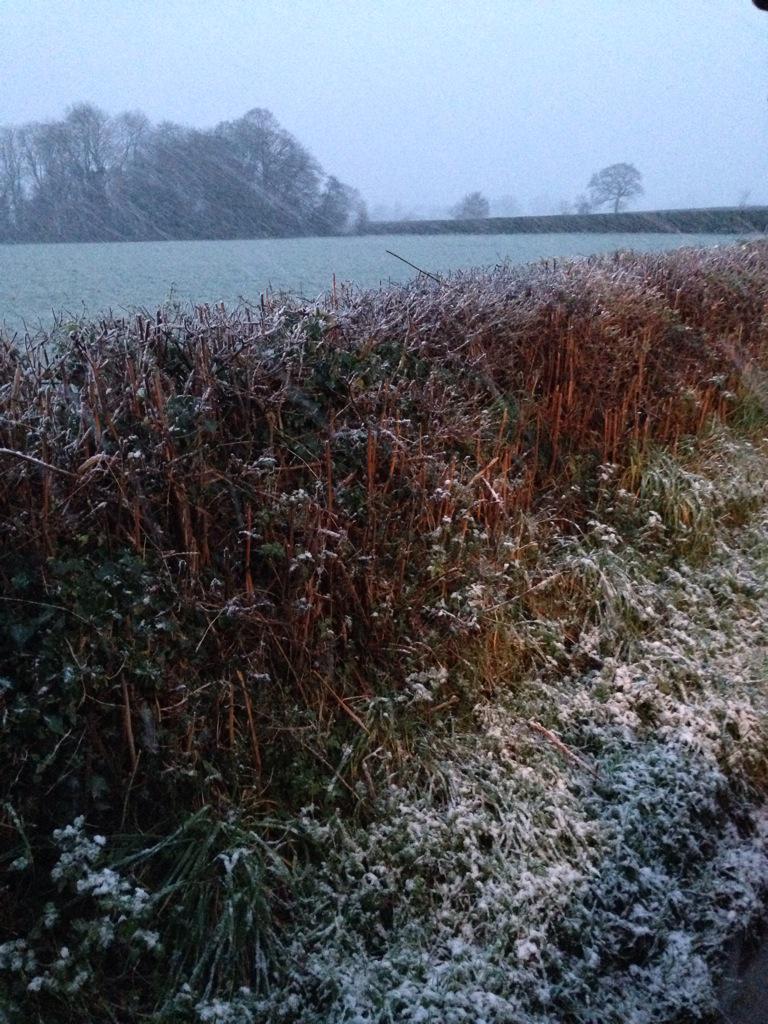 Snowing here in north shropshire <a href="/BBCShropshire/">BBC Shropshire</a>