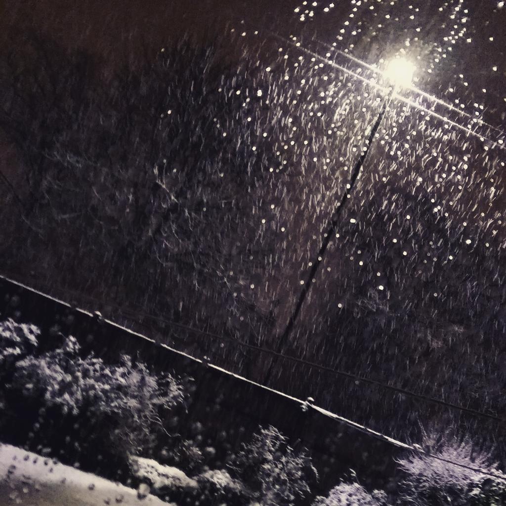 Daylight Vlogging tweet media