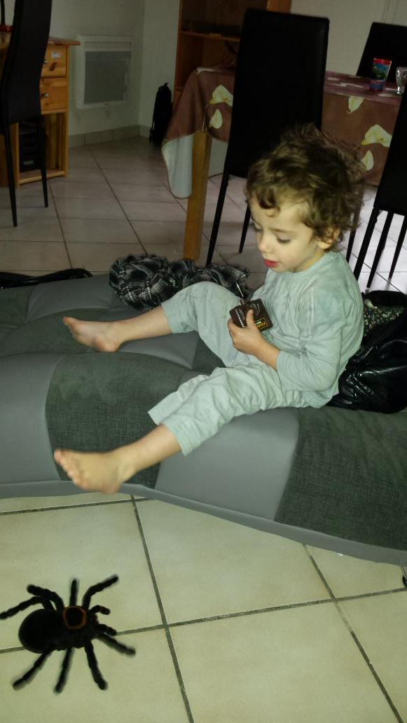 mallonchad's tweet photo. Pour cloturer ces vacances Bordelaises rien de mieux que d'aller voir ma nièce @pom0612 avec mes neveux!Vacs au top! http://t.co/9qWPskpR9S