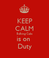BullringCabs's tweet photo. Don't panic!!! Keep calm! Bullring Cabs is on duty tonight! Call Andy 086 3774424 #Wexford http://t.co/urxla2TMYs
