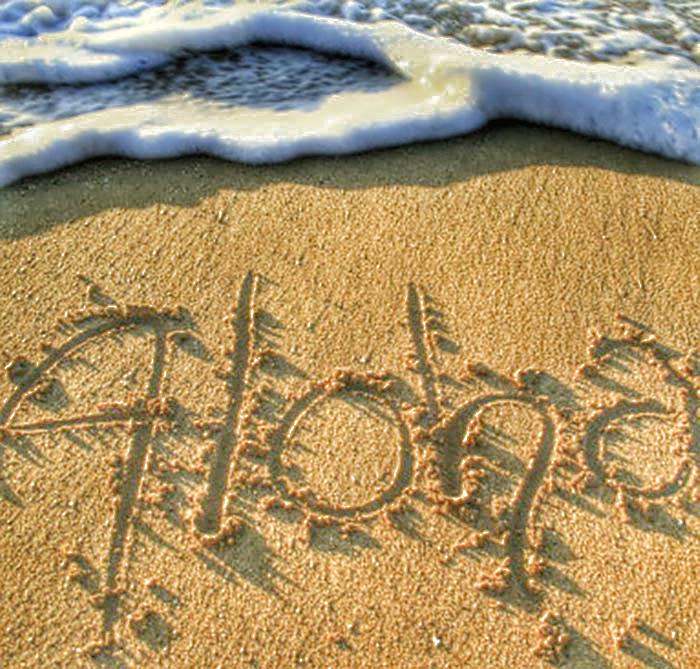 pipelinegear's tweet image. Aloha Friday from #pipelinegear !
#pipeline #aloha #alohafriday #hawaii #friend #surf #northshoreoahu