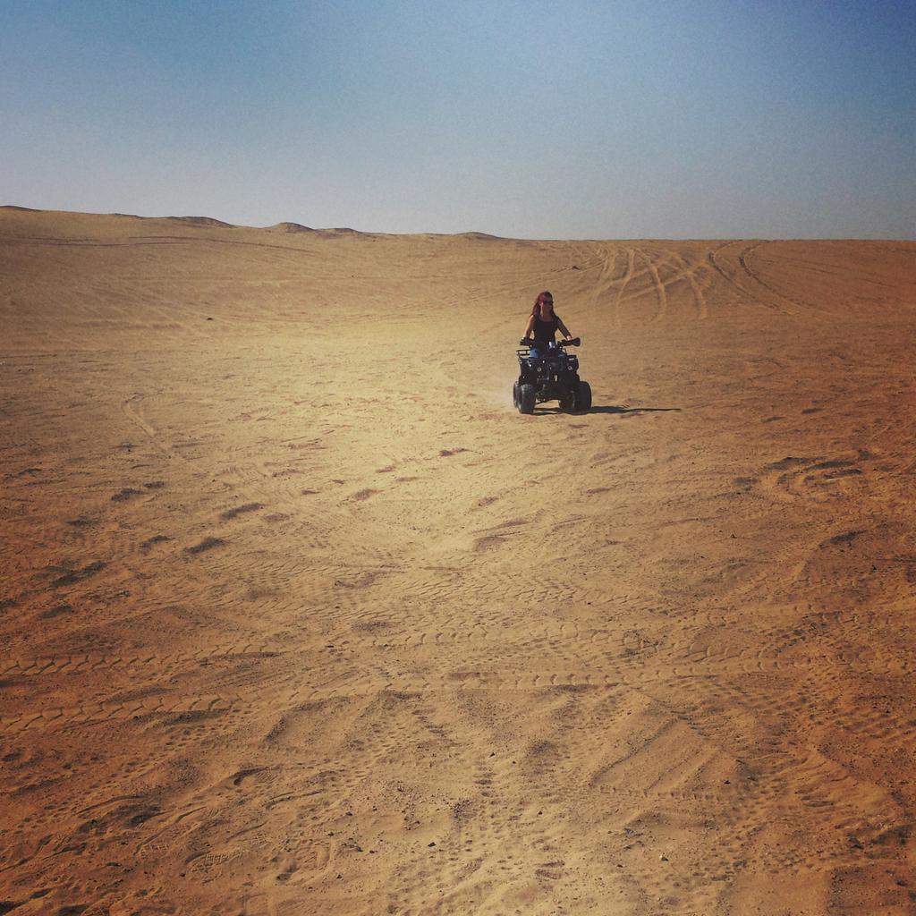 alanwright2305's tweet image. 