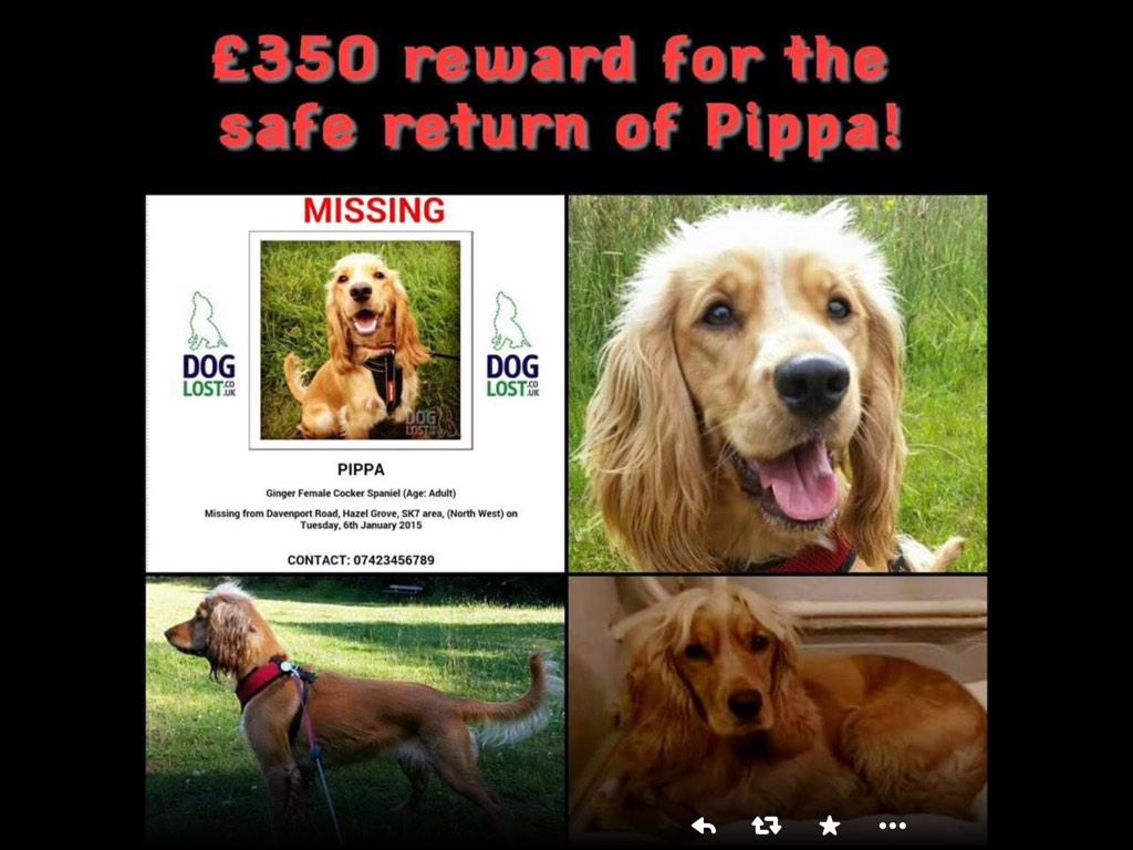 andywhitt2's tweet image. @skysportsAlexH can you please RT and help #FindPippa manchestereveningnews.co.uk/news/local-new… thanks.