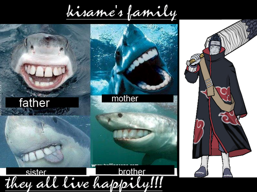 Guess Miley is Kisame's sister's name XDD