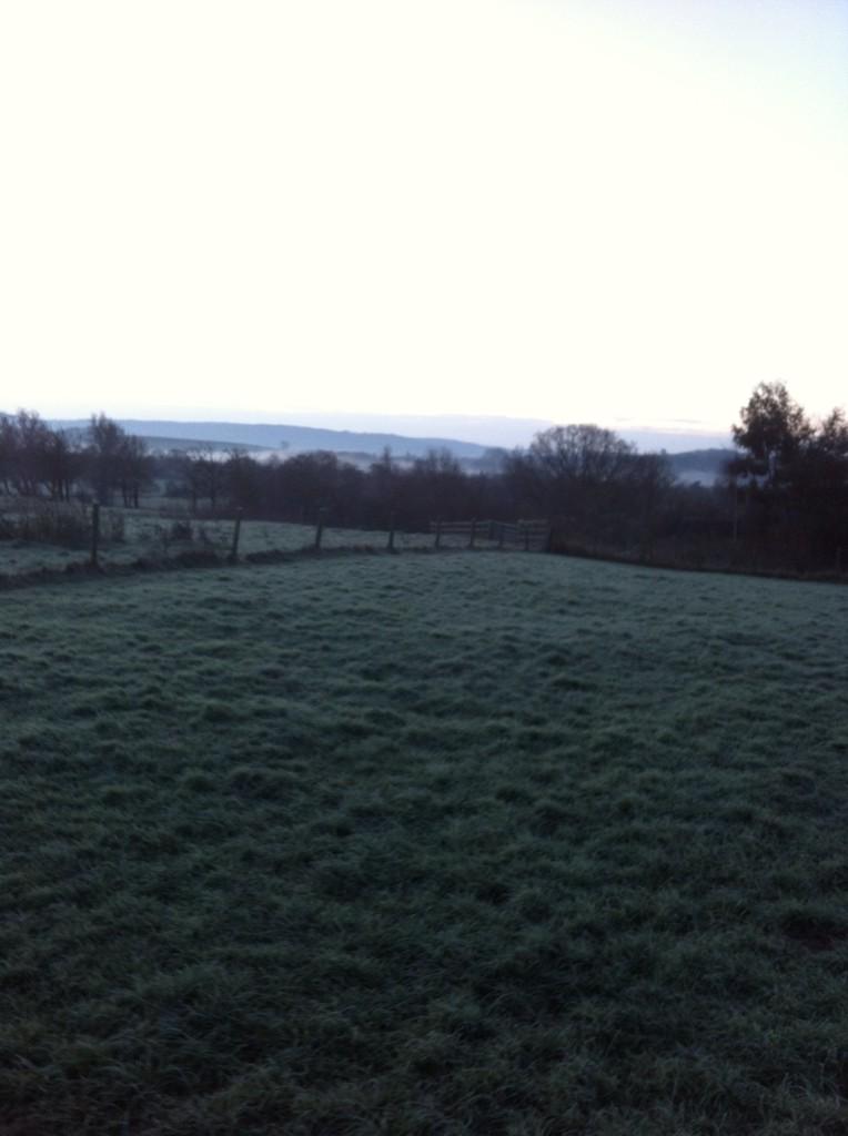 Hartsturkeys's tweet photo. Another beautiful morning here in Gloucestershire. http://t.co/Yov9EmHpVj