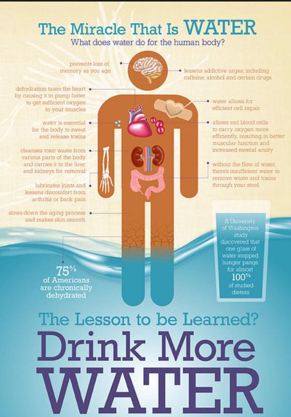 DreamBodyGoals's tweet photo. The importance of water! #dreambodygoals http://t.co/3HTfdGYaG7