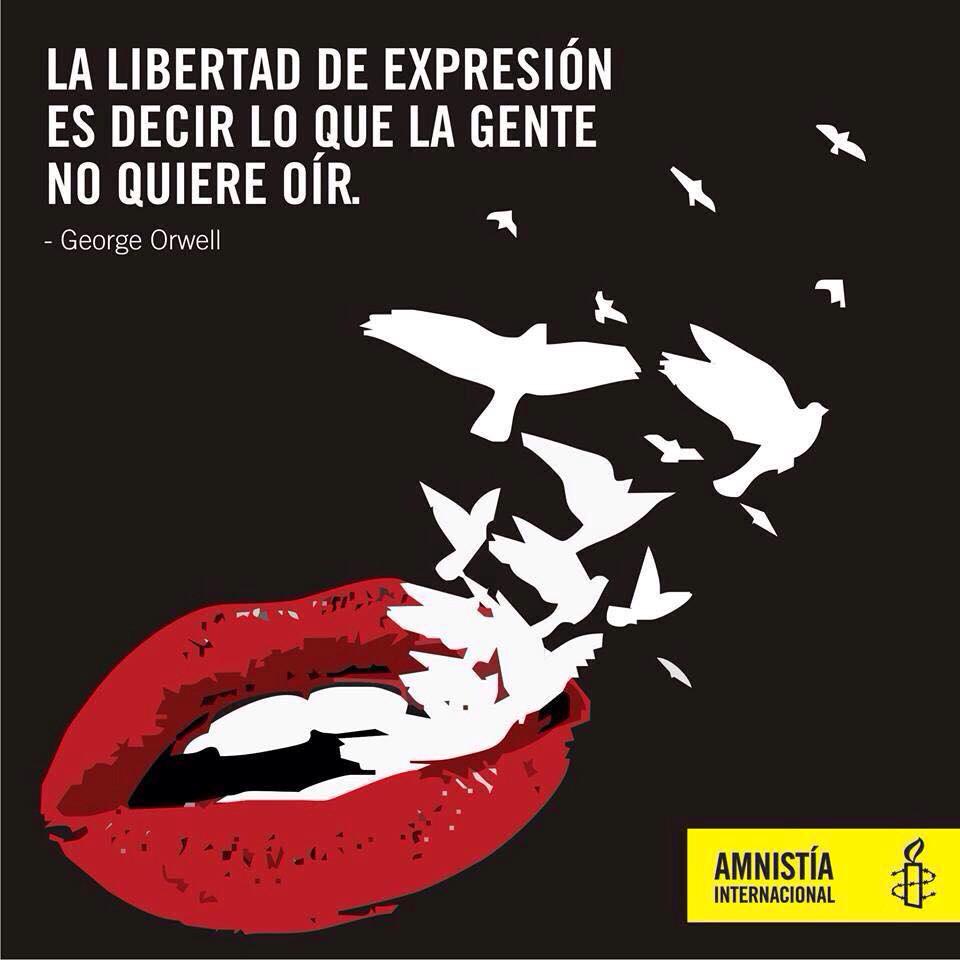 David del Campo tweet media