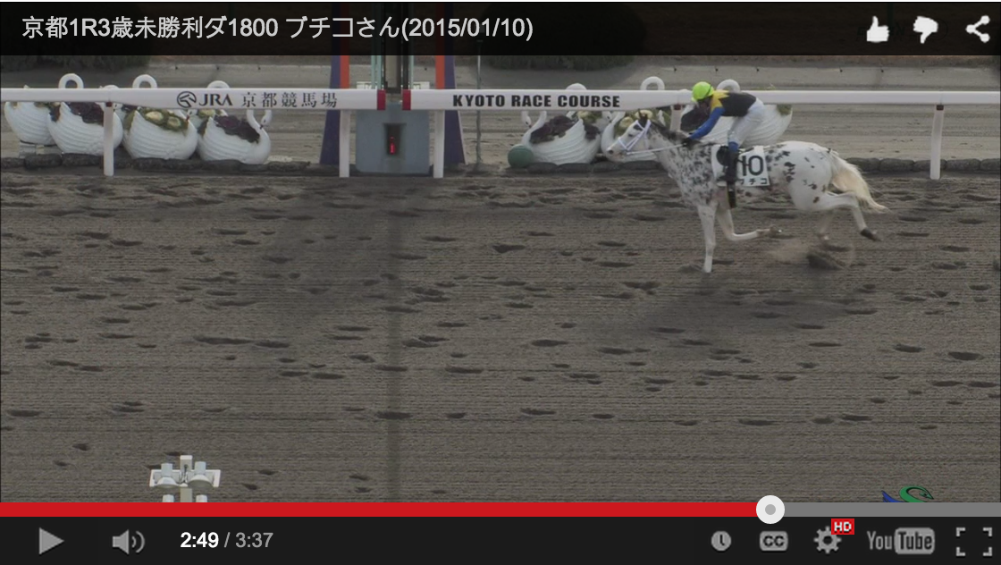 justhorseracing's tweet photo. Cow coloured thoroughbred breaks maiden

View the race: http://t.co/Ifh4tfdopl

#horseracing http://t.co/YYNRJSB9ka