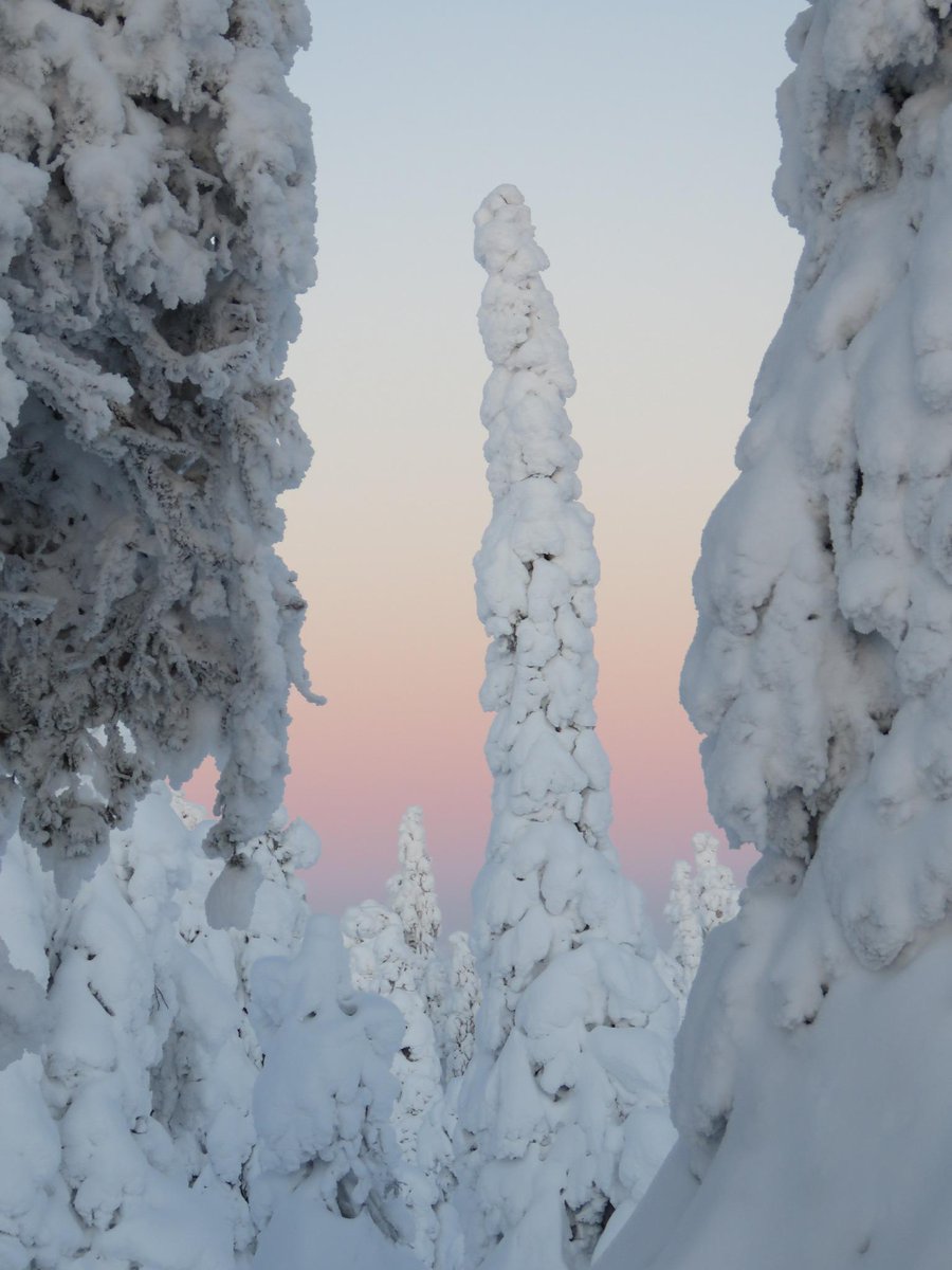 Featured image of post Konttainen Talvi Suomessa talvi on vaarallisimpia aikoja ajamiselle liukkaat tiet huono n kyvyys ja muuttuvat olosuhteet ovat jatkuvana uhkana