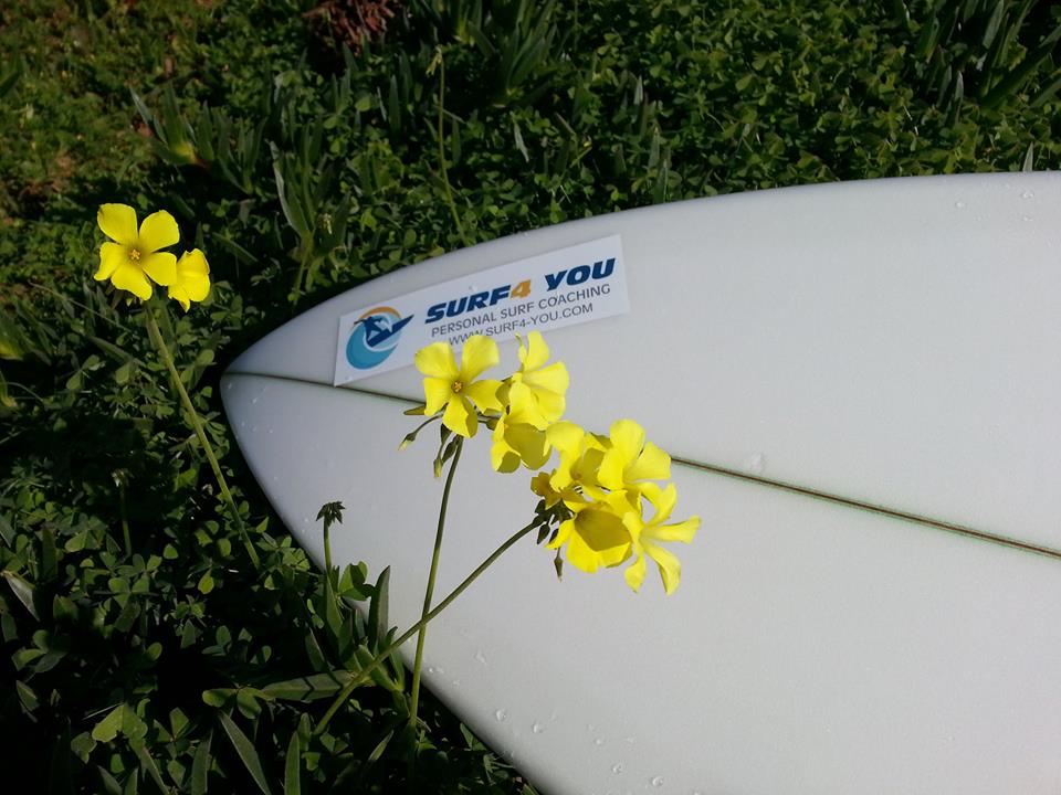 MagicLis's tweet image. Já conheces a @Surf4Y ? 
Uma equipa presente que te acompanha e torna a tua experiência inesquecível.