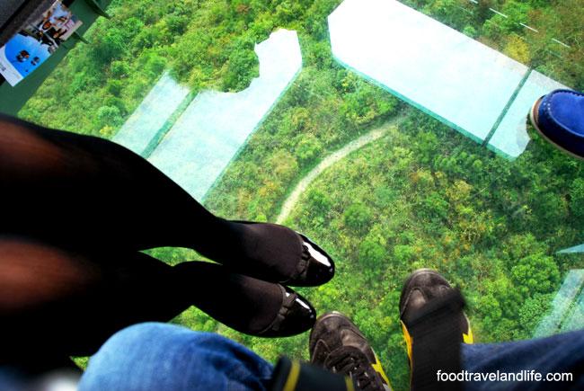 Food Travel and Life tweet media